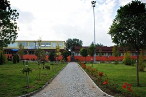 Susurluk Marka Tescili