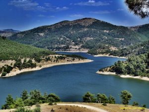 Sındırgı Marka Tescili